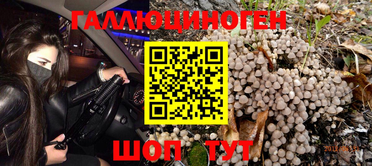 Псилоцибиновые грибы Cubensis  Псилоцибиновые грибы Psilocybine cubensis  Вход с VPN  Кимры 